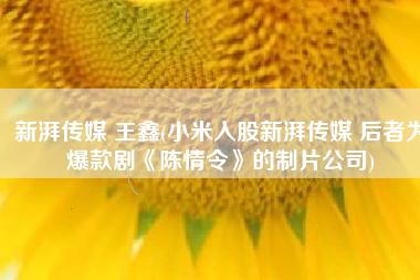 新湃传媒 王鑫(小米入股新湃传媒 后者为爆款剧《陈情令》的制片公司)