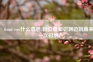 front row什么意思(同位语知识到边到角来一次归纳)