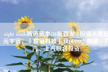 eight roads斯道资本(36氪首发 |投资人看好元宇宙，「宸境科技」获OPPO、斯道、广汽、上汽联合投资)