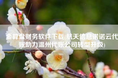 金算盘财务软件下载(航天信息诺诺云代账助力温州代账公司转型升级)