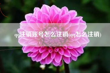 qq注销账号怎么注销(qq怎么注销)