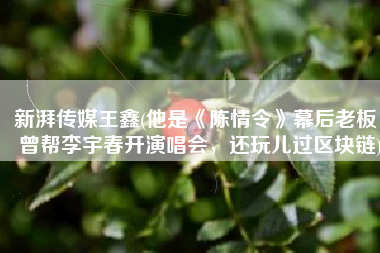 新湃传媒王鑫(他是《陈情令》幕后老板，曾帮李宇春开演唱会，还玩儿过区块链)