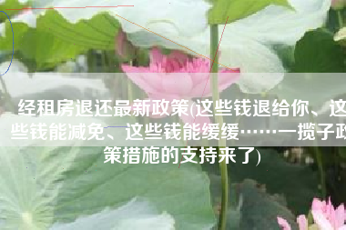 经租房退还最新政策(这些钱退给你、这些钱能减免、这些钱能缓缓……一揽子政策措施的支持来了)