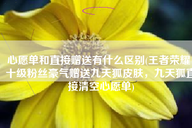 心愿单和直接赠送有什么区别(王者荣耀：十级粉丝豪气赠送九天狐皮肤，九天狐直接清空心愿单)