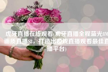 虎牙直播在线观看(虎牙直播全程蓝光8M画质直播S8，打造出游戏直播观看最佳直播平台)