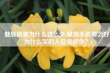 魅族销量为什么这么少(魅族手机那么好，为什么买的人总是很少？)