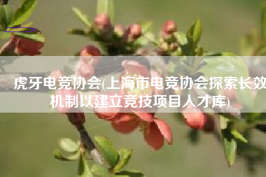 虎牙电竞协会(上海市电竞协会探索长效机制以建立竞技项目人才库)
