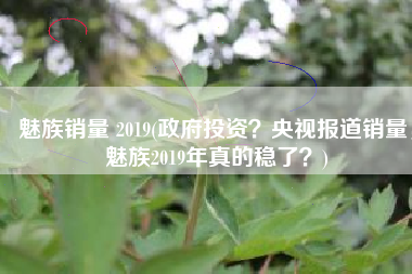 魅族销量 2019(政府投资？央视报道销量，魅族2019年真的稳了？)