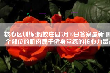 核心区训练(蚂蚁庄园5月19日答案最新 哪个部位的肌肉属于健身常练的核心力量)