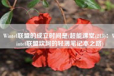 Wintel联盟的成立时间是(超能课堂(213)：Wintel联盟坎坷的轻薄笔记本之路)