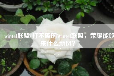 wintel联盟(打不破的Wintel联盟，荣耀能吹来什么新风？)