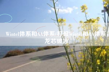 Wintel体系和AA体系(打破Wintel和AA体系，龙芯破冰)