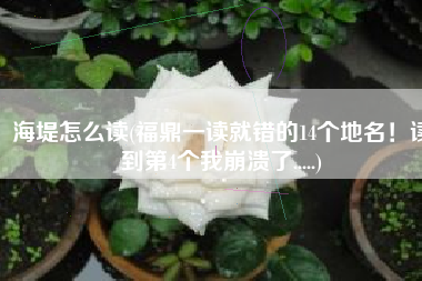 海堤怎么读(福鼎一读就错的14个地名！读到第4个我崩溃了.....)