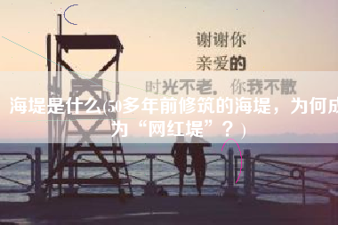 海堤是什么(50多年前修筑的海堤，为何成为“网红堤”？)