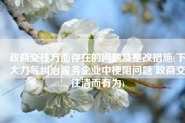 政商交往方面存在的问题及整改措施(下大力气纠治服务企业中梗阻问题 政商交往清而有为)