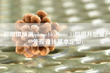 郭明琪预测iphone14(iPhone 14即将开始量产 外观设计基本定型)