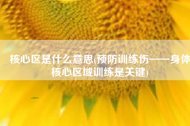 核心区是什么意思(预防训练伤——身体核心区域训练是关键)