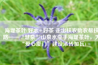 海堤茶叶(好水+好茶 走出扶农助农帮扶路——“慧泉”山泉水牵手海堤茶叶，为“爱心厦门”建设添砖加瓦)