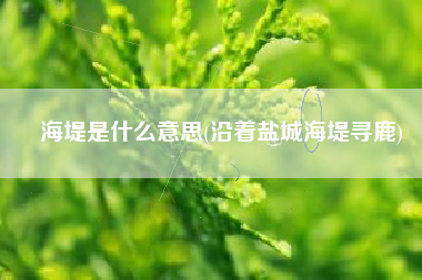 海堤是什么意思(沿着盐城海堤寻鹿)