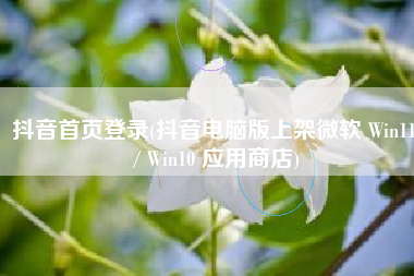 抖音首页登录(抖音电脑版上架微软 Win11 / Win10 应用商店)