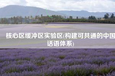 核心区缓冲区实验区(构建可共通的中国话语体系)