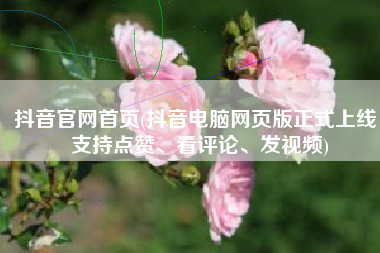 抖音官网首页(抖音电脑网页版正式上线：支持点赞、看评论、发视频)