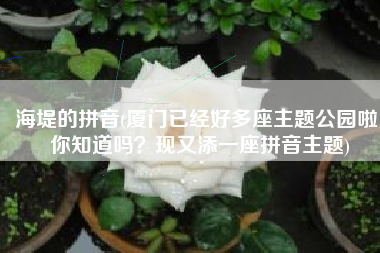 海堤的拼音(厦门已经好多座主题公园啦 你知道吗？现又添一座拼音主题)