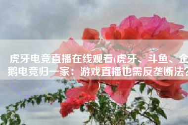 虎牙电竞直播在线观看(虎牙、斗鱼、企鹅电竞归一家：游戏直播也需反垄断法？)