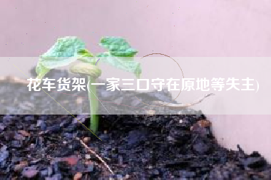 花车货架(一家三口守在原地等失主)