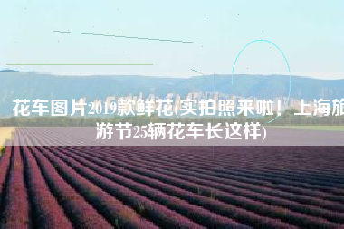 花车图片2019款鲜花(实拍照来啦！上海旅游节25辆花车长这样)