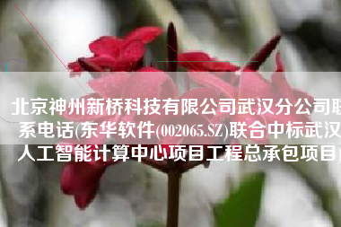 北京神州新桥科技有限公司武汉分公司联系电话(东华软件(002065.SZ)联合中标武汉人工智能计算中心项目工程总承包项目)