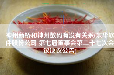 神州新桥和神州数码有没有关系(东华软件股份公司 第七届董事会第二十七次会议决议公告)