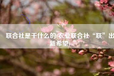 联合社是干什么的(农业联合社“联”出新希望)