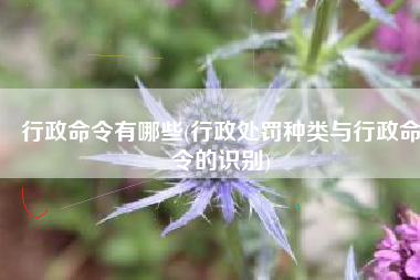 行政命令有哪些(行政处罚种类与行政命令的识别)
