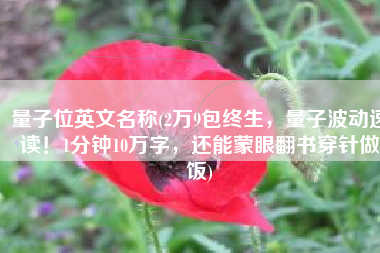 量子位英文名称(2万9包终生，量子波动速读！1分钟10万字，还能蒙眼翻书穿针做饭)