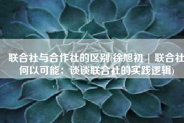 联合社与合作社的区别(徐旭初 | 联合社何以可能：谈谈联合社的实践逻辑)