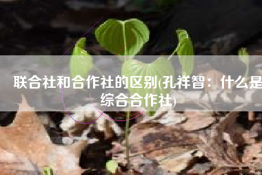 联合社和合作社的区别(孔祥智：什么是综合合作社)