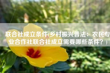 联合社成立条件(乡村振兴普法：农民专业合作社联合社成立需要哪些条件？)