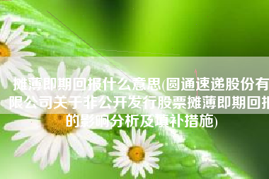 摊薄即期回报什么意思(圆通速递股份有限公司关于非公开发行股票摊薄即期回报的影响分析及填补措施)