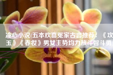 冷心小说(五本欢喜冤家古言推荐：《攻玉》《春妆》男女主势均力敌斗智斗勇)