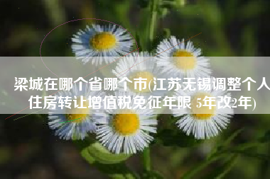 梁城在哪个省哪个市(江苏无锡调整个人住房转让增值税免征年限 5年改2年)