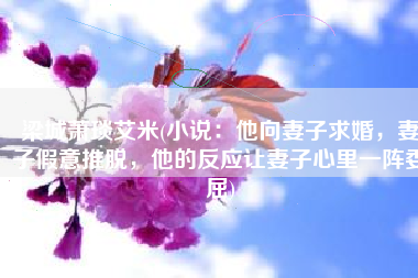 梁城萧琰艾米(小说：他向妻子求婚，妻子假意推脱，他的反应让妻子心里一阵委屈)