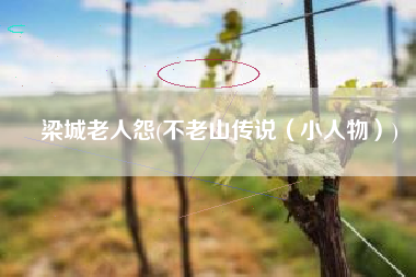 梁城老人怨(不老山传说（小人物）)