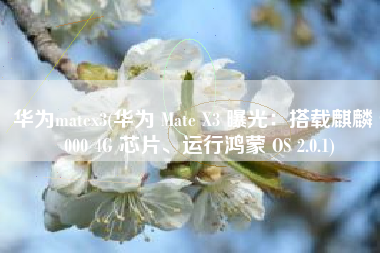 华为matex3(华为 Mate X3 曝光：搭载麒麟 9000 4G 芯片、运行鸿蒙 OS 2.0.1)