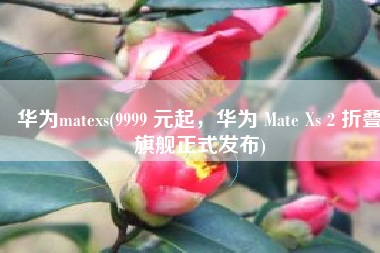 华为matexs(9999 元起，华为 Mate Xs 2 折叠旗舰正式发布)