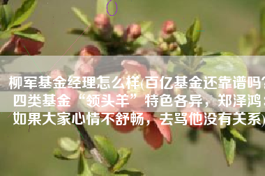 柳军基金经理怎么样(百亿基金还靠谱吗？四类基金“领头羊”特色各异，郑泽鸿：如果大家心情不舒畅，去骂他没有关系)