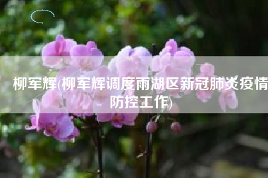 柳军辉(柳军辉调度雨湖区新冠肺炎疫情防控工作)