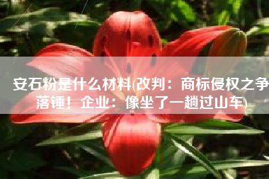 安石粉是什么材料(改判：商标侵权之争落锤！企业：像坐了一趟过山车)