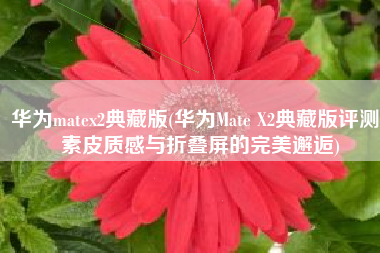 华为matex2典藏版(华为Mate X2典藏版评测：素皮质感与折叠屏的完美邂逅)