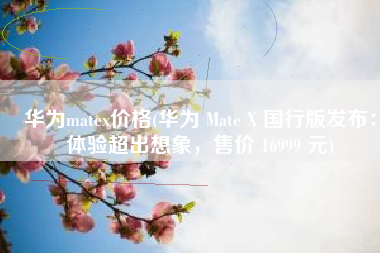 华为matex价格(华为 Mate X 国行版发布：体验超出想象，售价 16999 元)